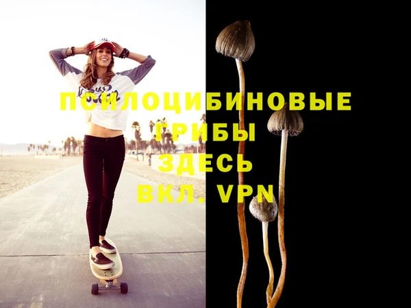 МДПВ Нягань