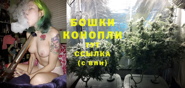 МДПВ Нягань