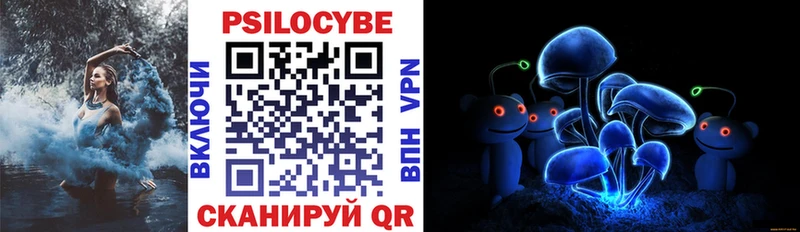 как найти закладки  Арск  Псилоцибиновые грибы Psilocybe 